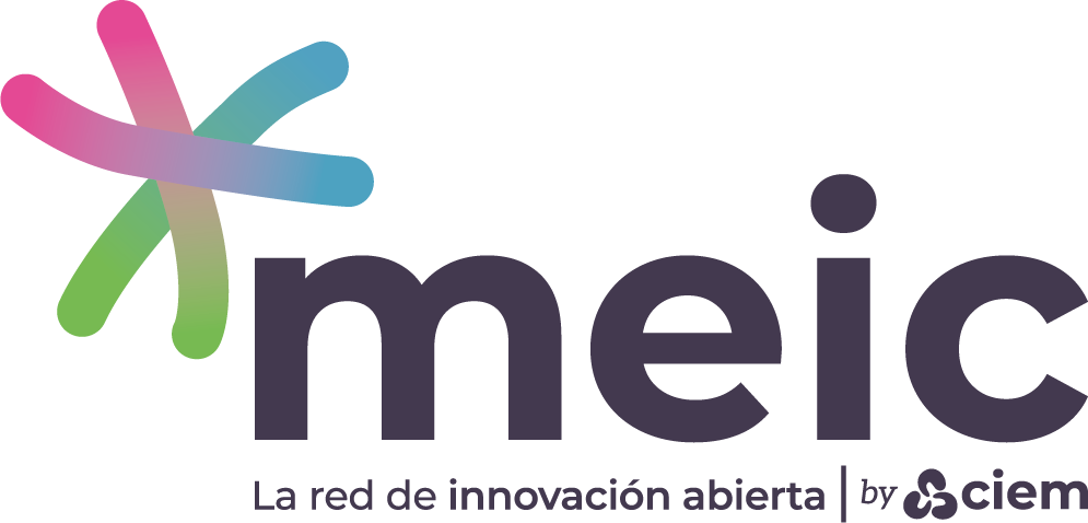 redmeic.es