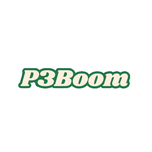 Logo P3Boom
